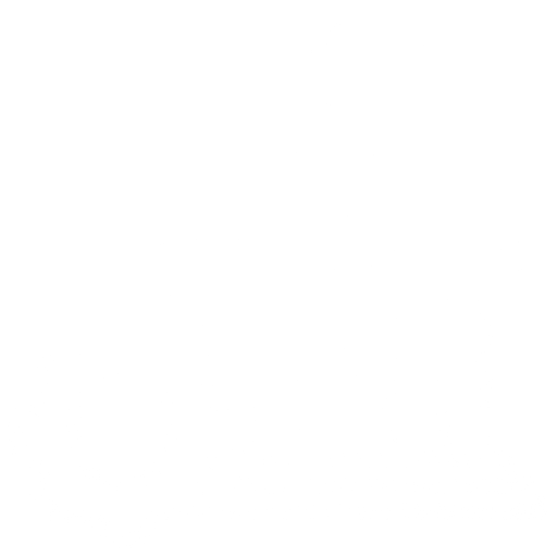 government 12454006